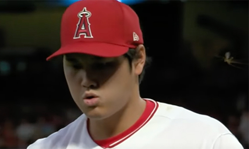 大谷翔平選手の左から虫飛来