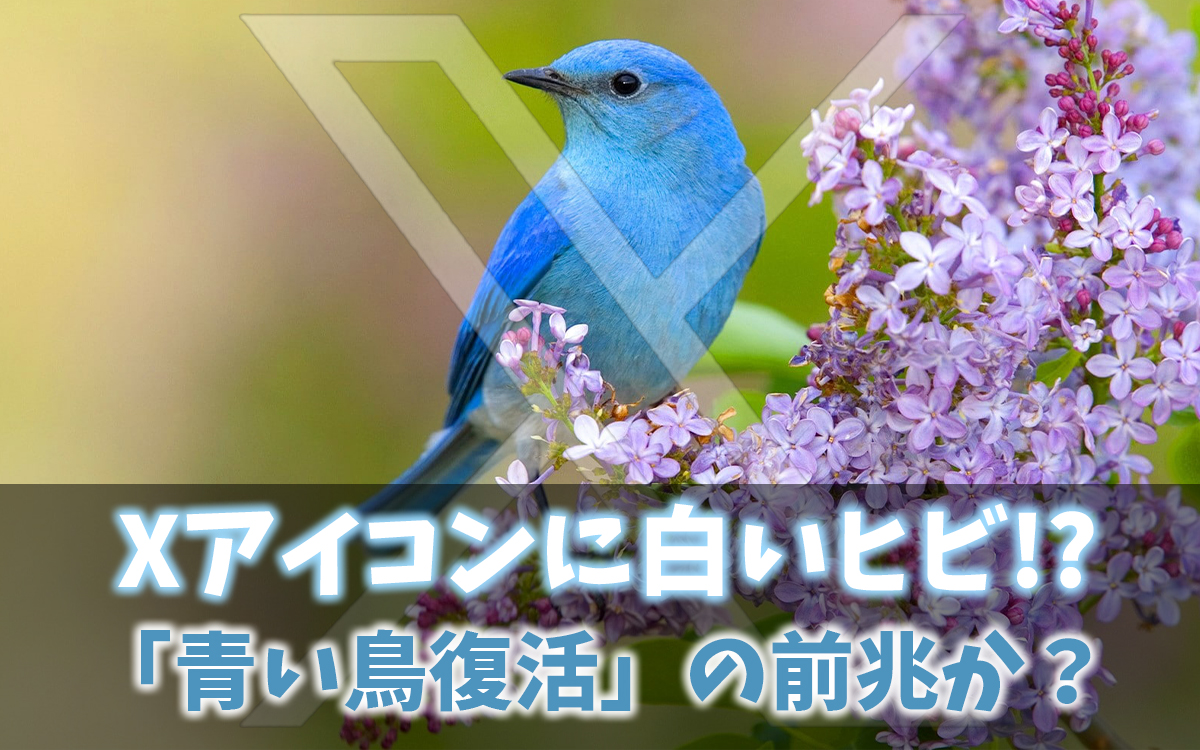 TwitterのXアイコンにヒビ⁉青い鳥が生まれる可能性はあるのか